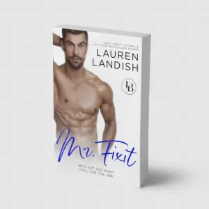 Mr. Fixit: A Friends To Lovers Romance (Irresistible Bachelors Book 5)