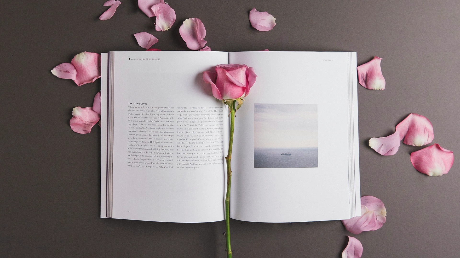 Enemies to Lovers Books