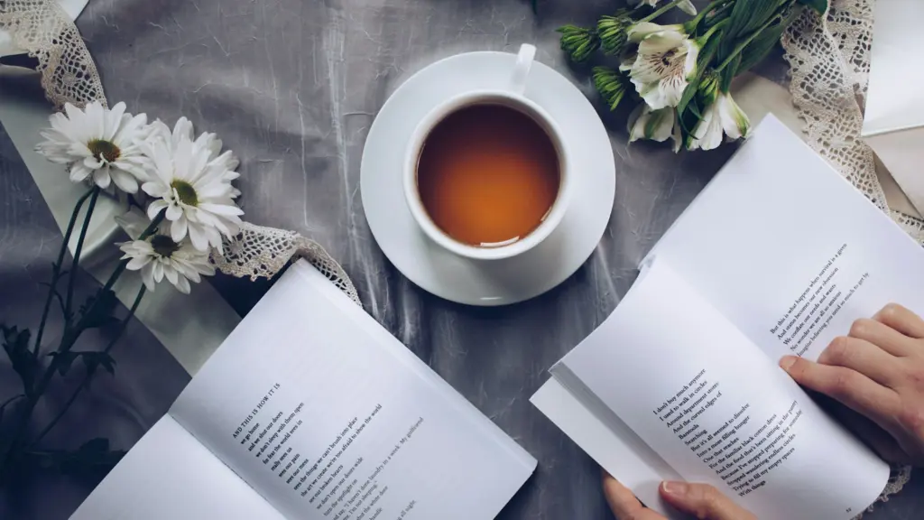 Reading enemies to lovers book