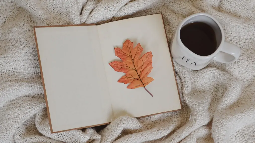Romance sub gendres book